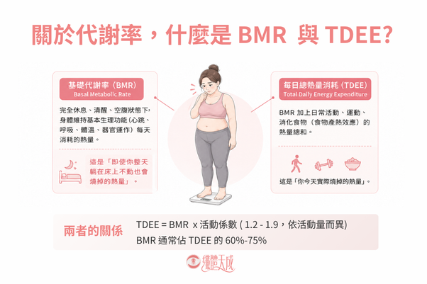 代謝減重示意圖